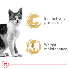 ROYAL CANIN can label and guaranteed analysis showing clear feeding and nutrient information