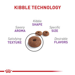 ROYAL CANIN close-up of kibble shape and texture for appetite control