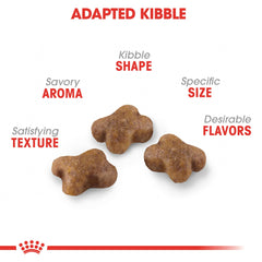 ROYAL CANIN close-up of kitten kibble texture highlighting digestible, bite-sized pieces