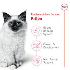 ROYAL CANIN kibble next to measuring cup showing portion control convenience