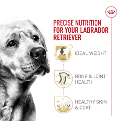 ROYAL CANIN 30 lb bag next to household item showing scale benefit