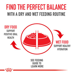 ROYAL CANIN dry kibble in bowl illustrating portion and palatability for meals