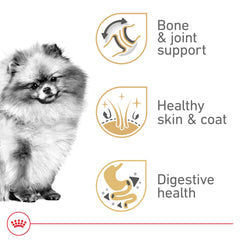 ROYAL CANIN close-up of kibble texture for easy chewing and digestion