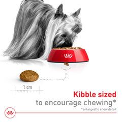 ROYAL CANIN dry food in bowl ready to serve for tiny dog appetites