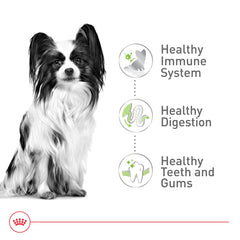 ROYAL CANIN kibble beside a coin showing small size and portion control