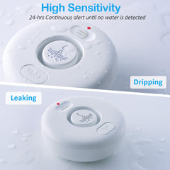 RUIKORING close-up of sensor probes highlighting quick leak detection benefit