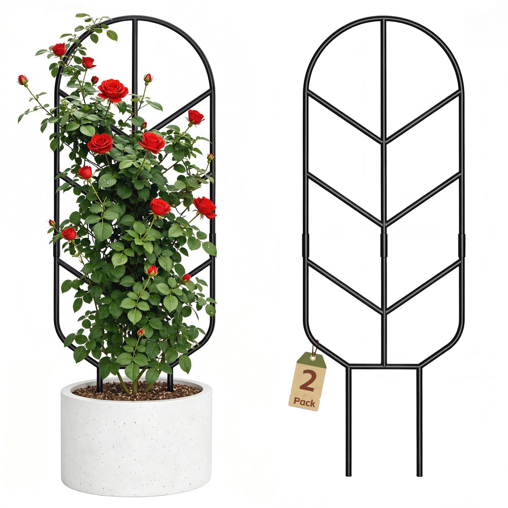 saffruff trellis front view showing clean modern support and stability