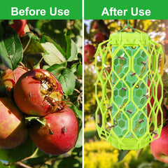 Sancodee trap hanging in garden near flowers to draw wasps away from seating areas