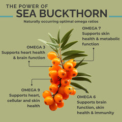 SEABUCKWONDERS ingredient label highlighting 100% organic whole berry oil