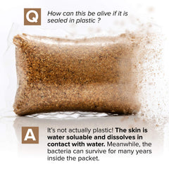 SEPTIC TREATMENT BY CABIN OBSESSION label detail showing active bacteria cultures and enzyme benefits