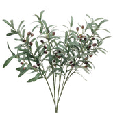 SHACOS front view of four-pack olive branches for instant greenery