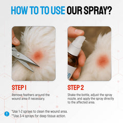 SILVER GRADE being sprayed on a chicken foot demonstrating wound care benefit