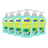 Softsoap front packaging showing fresh citrus six-pack with clear branding and scent