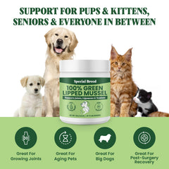Special Breed powder mixed in wet food illustrating seamless meal integration