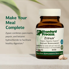 Standard Process Zypan tablet in hand illustrating size for easy swallowing and practical dosing