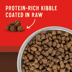 Stella & Chewy's close-up kibble texture highlighting protein-rich bits