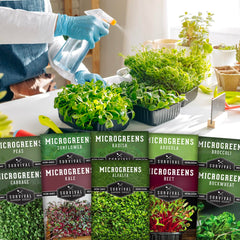 SURVIVAL GARDEN SEEDS tray of mixed microgreens in sunlight showing quick indoor harvest