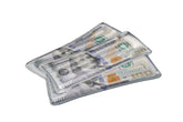 Swimline Cool Cash front view showing full-length float and bold cash design for fun lounging