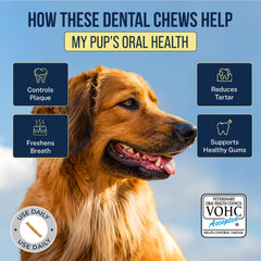 Tartar Shield chew in a large dog’s mouth promoting cleaner teeth