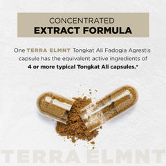 TERRA ELMNT capsule closeup revealing capsule size and smooth finish for easy swallowing