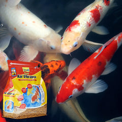 Tetra floating sticks on pond surface promoting visible feeding benefit
