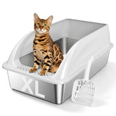 Tevila front view of XL light gray litter box showing roomy interior benefit