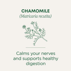 Traditional Medicinals loose chamomile flower heads detail conveying aromatic quality