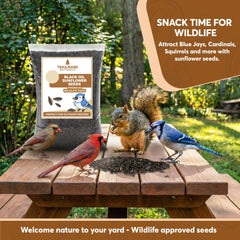 TRAILMARK NATURALS seeds in tray feeder attracting songbirds for observation