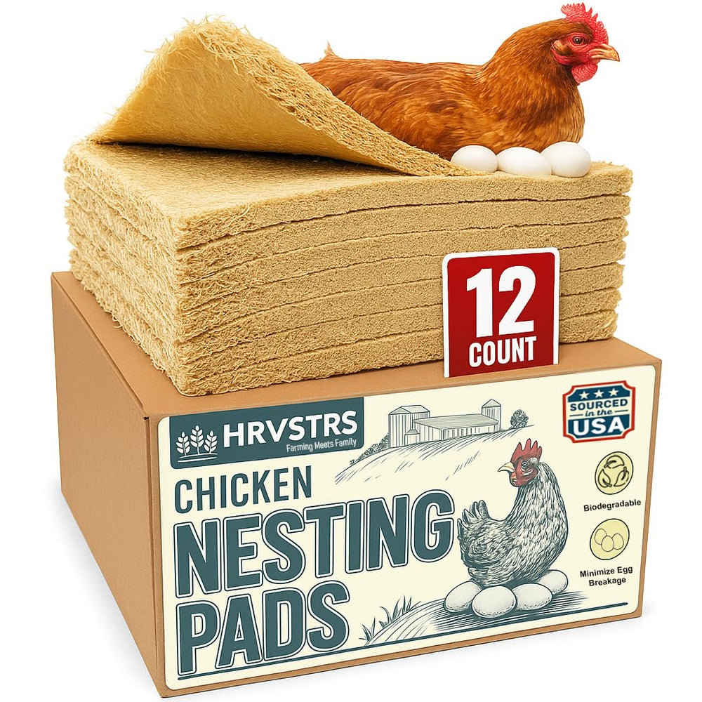 Trendiees front packaging showing 12-pack and neat storage benefit