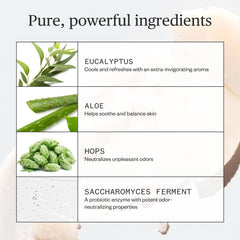 Ursa Major ingredients display featuring baking soda and kaolin clay benefits
