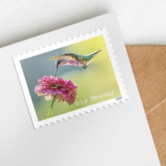 United States Postal Service cigar flower and hovering hummingbird detail highlighting pollination action