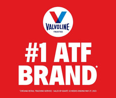 Valvoline MaxLife one-gallon bottle for clear size and scale reference