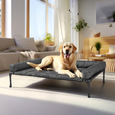 Veehoo front view of elevated dog bed showing full sofa and bolster for comfort