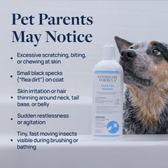 Veterinary Formula ingredient label close-up showing active ingredients for informed pet care