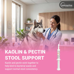 Vetoquinol Pro-Pectalin paste texture highlighting smooth, palatable formula