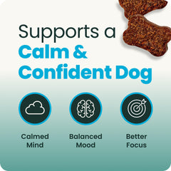 VetriScience chews in hand demonstrating chew size and easy dose control