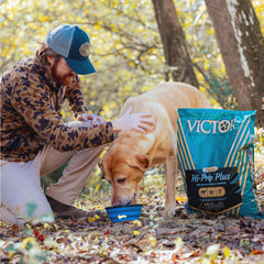 VICTOR served in bowl highlighting calorie-dense feeding benefit