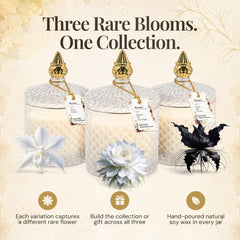 VIONAMI gold finial lid closeup emphasizing premium finish and keepsake potential