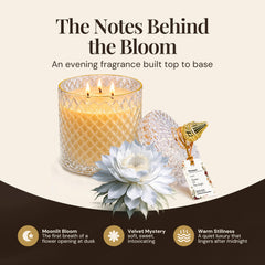 VIONAMI triple wick burning in use creating even warm glow for relaxing ambiance