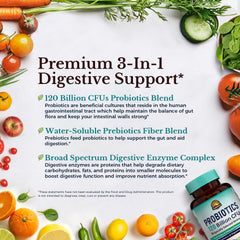 Vitalitown powder and plant ingredients texture showing prebiotic fiber and enzyme sources