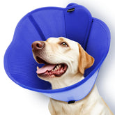 Vithael front view of cone collar showing full protective coverage and comfort