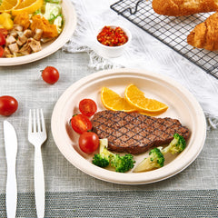 Vplus stacked plates beside hand showing scale and convenient quantity