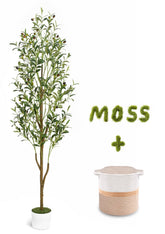 Waipfaru artificial olive tree front view shows realistic height and instant style