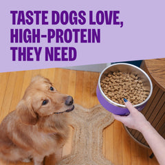 Wellness CORE kibble beside spoon to show small-breed size benefit