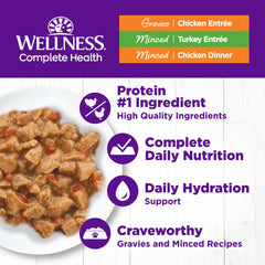 Wellness open can of chicken in gravy revealing moist texture and aroma