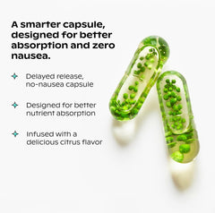 wholier ingredient label closeup highlighting algae DHA, methylcobalamin B12, and iron bisglycinate