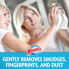 Windex wipe cleaning a car window for streak-free visibility by Windex