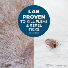 Wondercide shampoo in use bathing a dog, showing gentle pest control