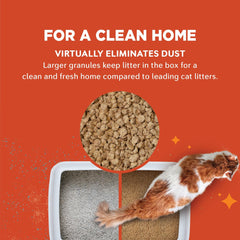 World's Best Cat Litter bag label detail emphasizing flushable and septic-safe feature
