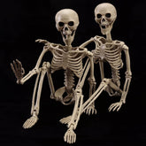 wymulot front view of both skeletons showing full 40-inch poseable bodies and spooky realism